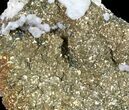 Pyrite On Calcite - El Hammam Mine, Morocco #80725-1